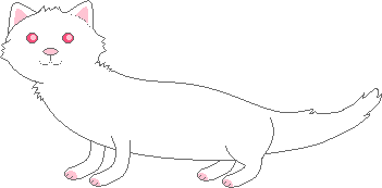 a white ferret