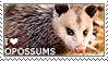 I love opossums