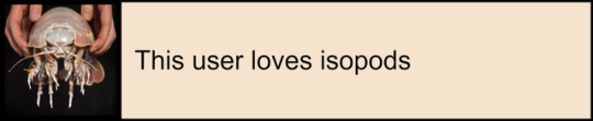 This user loves isopods
