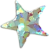 silver star