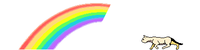 a cat walking through a rainbow