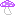 a tiny purple-capped mushroom