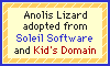 Anole Lizard Birth Certificate