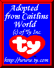 Beanie Baby Adoption Certificate