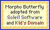 Morpho Butterfly Birth Certificate