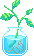 A plant clipping in a glass jar