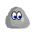 pet rock