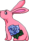 a pink bunny with a blue rose