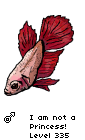 A betta fish